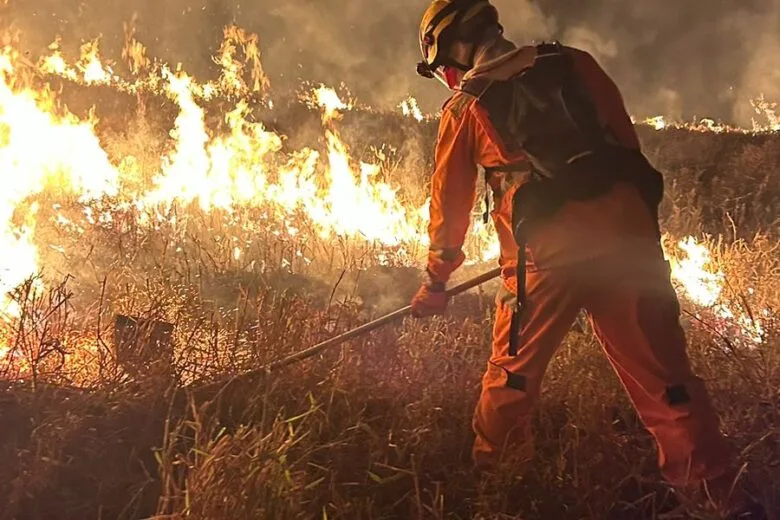 Agosto registra recorde de incêndios em Minas nos últimos 5 anos Agosto registra recorde de incêndios em Minas nos últimos 5 anos