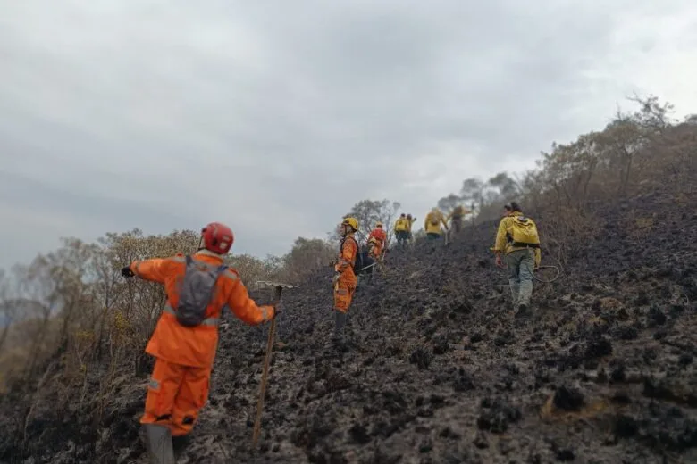 Fogo em Minas: bombeiros são acionados para quase 300 incêndios florestais em 24 horas