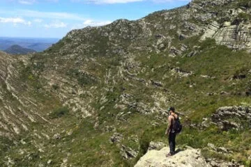 Instituto Estadual de Florestas participa de descoberta de nova espécie da flora brasileira no Norte de Minas