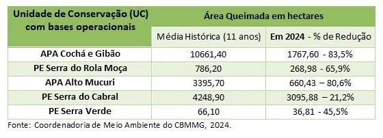 Minas Gerais registra redução de 20% nas áreas queimadas em unidades de conservação em 2024