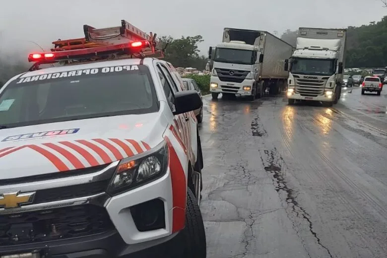 Caminhão carregado de congelados tem carga saqueada após acidente na BR-381