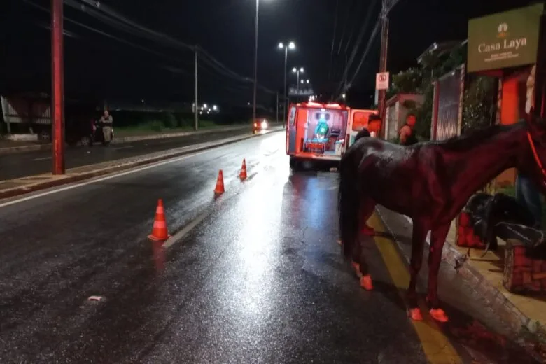 Acidente entre carro e cavalo deixa dois feridos em João Monlevade