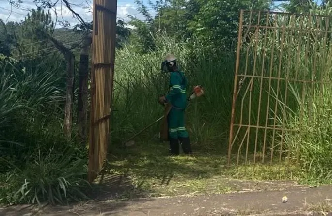 Proprietários têm 20 dias corridos para providenciar a limpeza de terrenos em Itabira