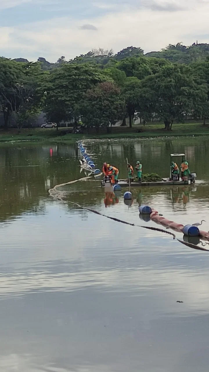 Corpo de homem é encontrado boiando na Lagoa da Pampulha, em BH