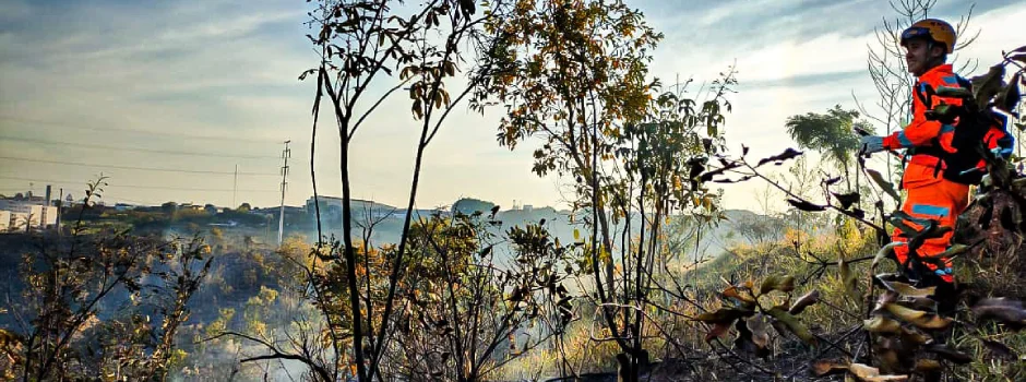 Afogamentos caem 31% em Minas Gerais e queimadas são reduzidas em áreas de proteção ambiental Afogamentos caem 31% em Minas Gerais e queimadas são reduzidas em áreas de proteção ambiental