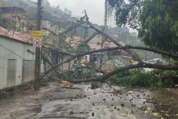 Temporal causa estragos e caos em João Monlevade