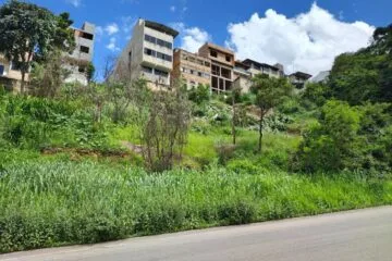 Sem aviso, corte de árvores frutíferas em área da Vale revolta moradores do bairro Valença, em Itabira