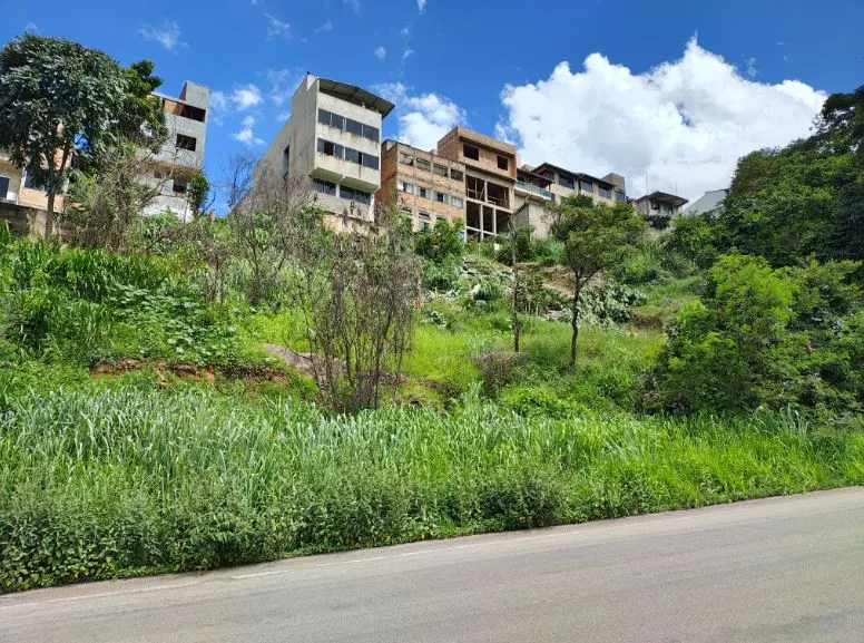 Sem aviso, corte de árvores frutíferas em área da Vale revolta moradores do bairro Valença, em Itabira