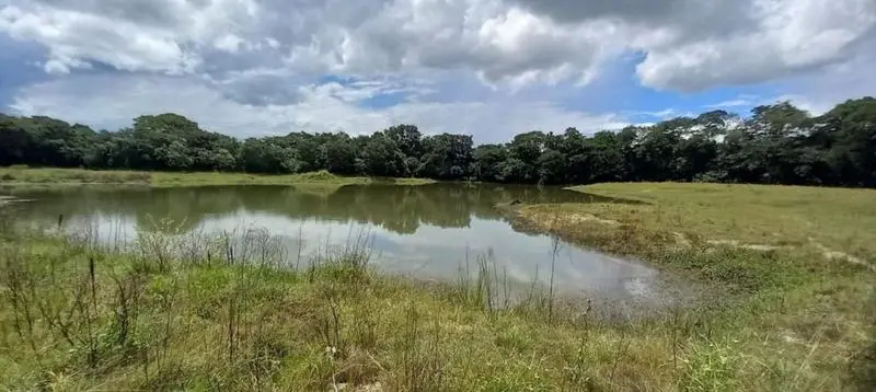 Fundação Estadual de Meio Ambiente apresenta relatório com áreas de mineração recuperadas e em processo de recuperação