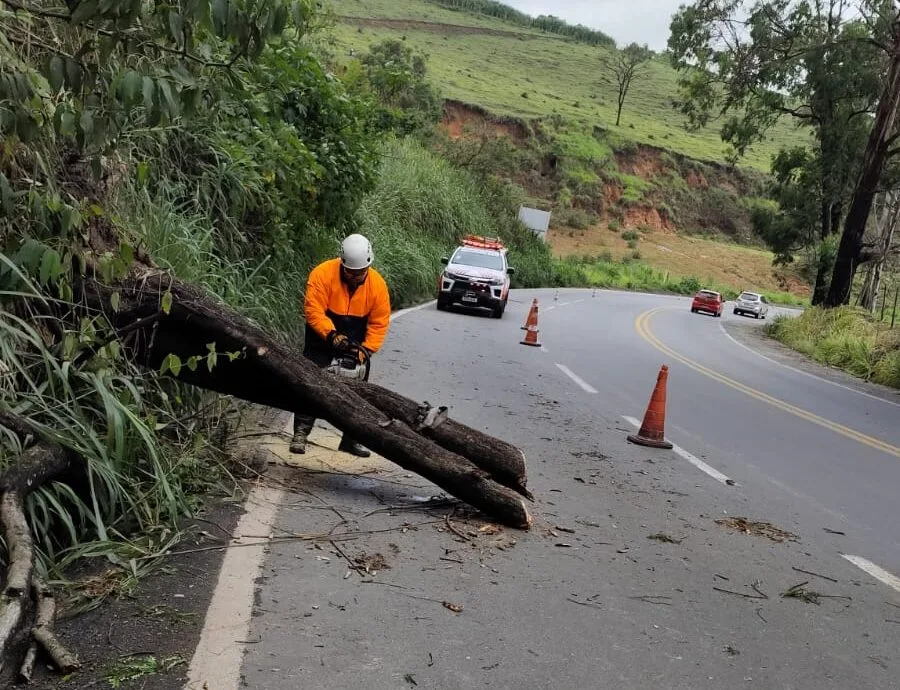 Chuvas em MG: Sevor auxilia DNIT em poda de árvore que caiu na BR-381, em João Monlevade