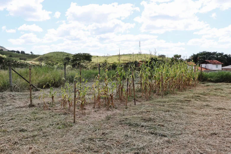 Projeto Biossólido Itabira é referência para Minas Gerais