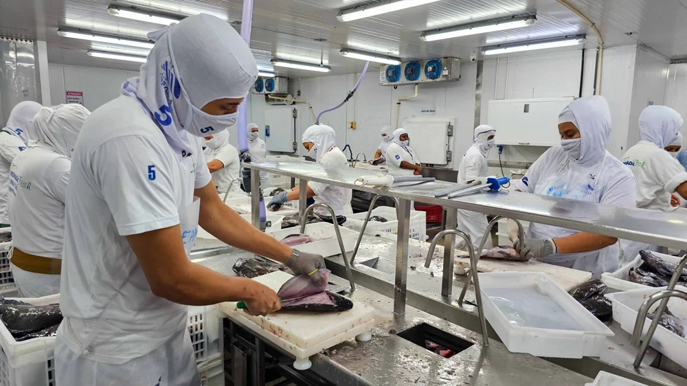 Morada Nova de Minas, na região Central, é o maior município produtor de tilápias do Brasil