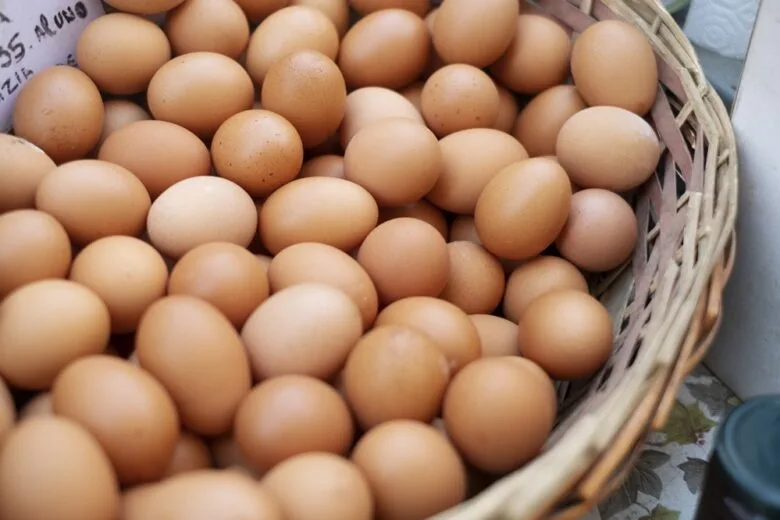 País tem recorde na produção de ovos, abate de bovinos, frango e porco