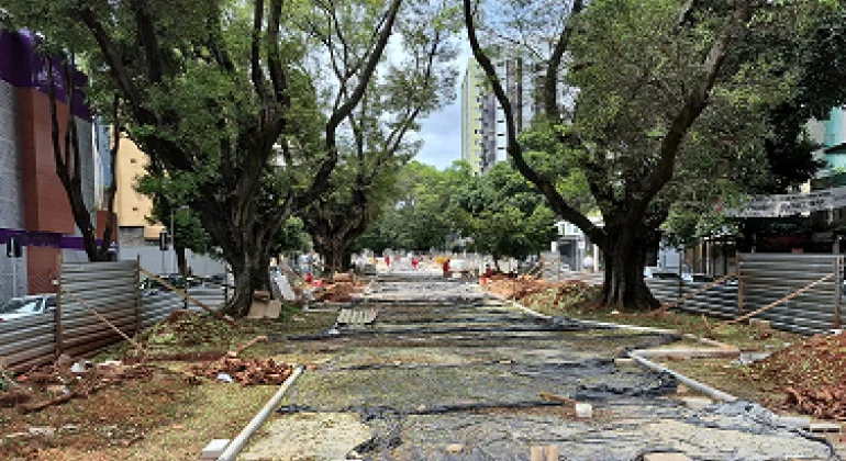 Obras na avenida Bernardo Monteiro alteram trânsito na região hospitalar de BH