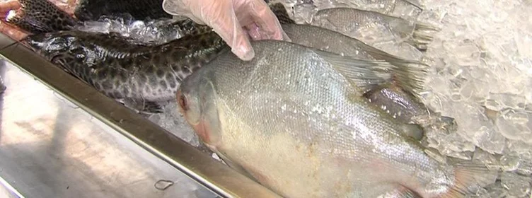 Emater-MG orienta consumidores sobre compra segura de peixes durante a Semana Santa Emater-MG orienta consumidores sobre compra segura de peixes durante a Semana Santa