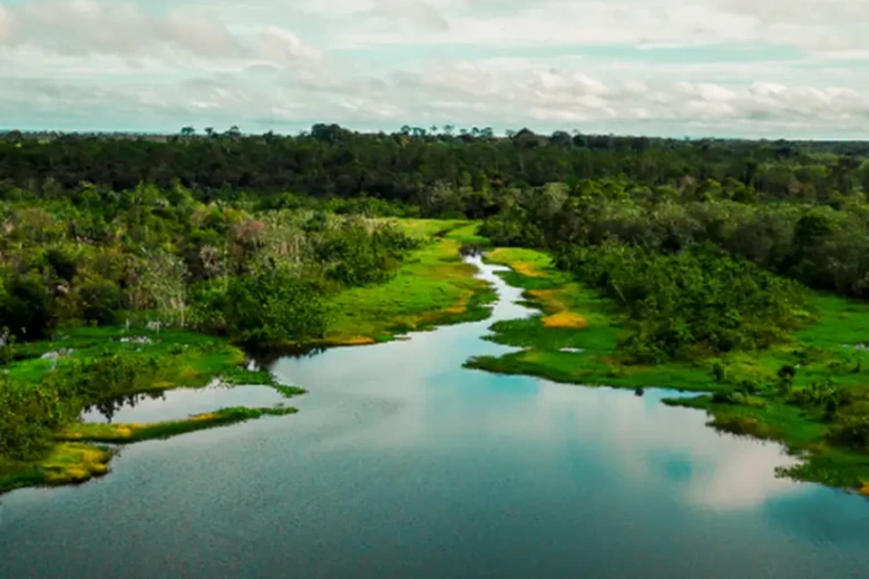 Área de proteção terá trilha ecológica e turismo de base comunitária Área de proteção terá trilha ecológica e turismo de base comunitária