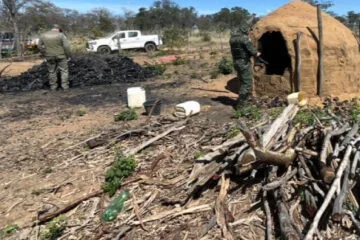 Operação Divisa aplica mais de R$ 3,5 milhões em multas por crimes ambientais no Norte de Minas