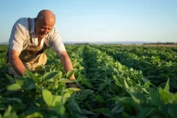 Nova Era se prepara para receber evento “Nosso Agro” no próximo sábado
