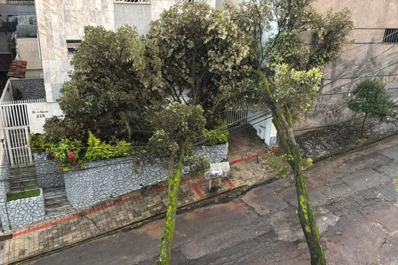 Impacto das chuvas: Bombeiros registram 168 ocorrências com quedas de árvores em BH e na Região Metropolitana