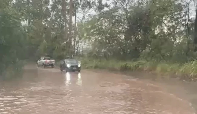 Temporal provoca pontos de alagamento e quedas de galhos de árvores na Estrada 105, em Itabira