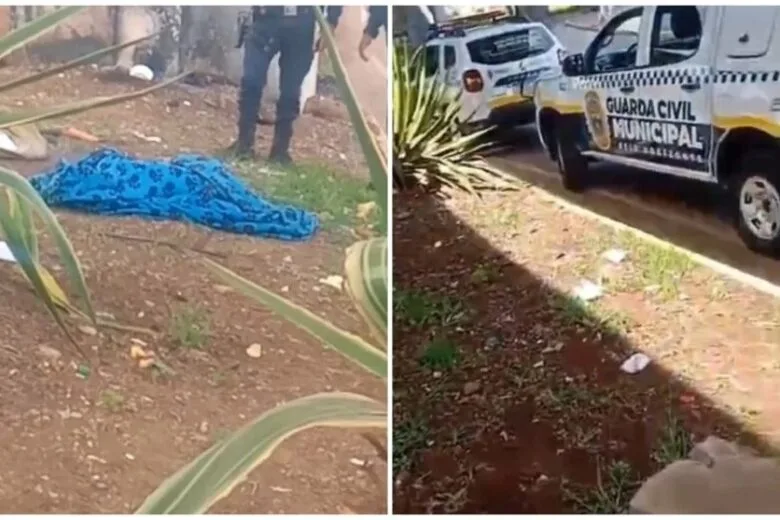 Guarda Municipal mata pitbull a tiros após suposto ataque na Lagoinha, em BH; versões divergem Guarda Municipal mata pitbull a tiros após suposto ataque na Lagoinha, em BH; versões divergem