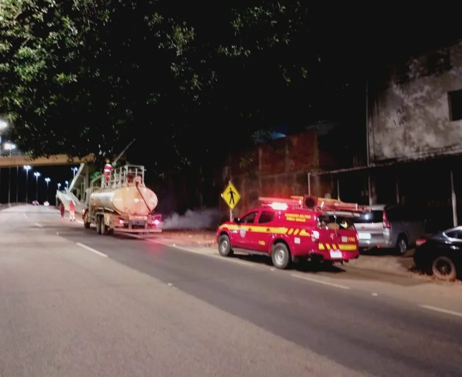 Incêndio em árvore mobiliza bombeiros e Defesa Civil às margens da BR-381, em Nova Era