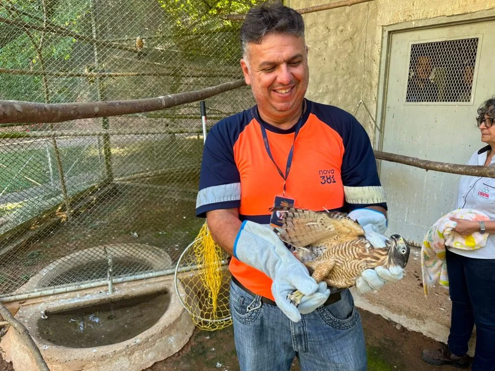 Equipes que atuam na BR-381 recebem treinamento para resgate e manejo de animais silvestres